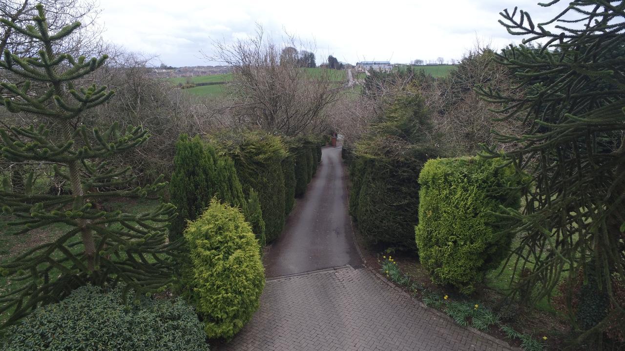 Pinewood Lodge Guest House Omagh Exterior foto